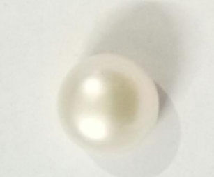 Pearl ( Moti ) 14.00 Ratti