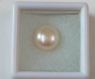 Pearl ( Moti ) 6.00 Ratti