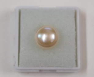 Pearl ( Moti ) 7.00 Ratti