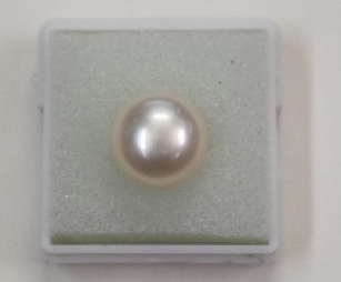 Pearl ( Moti ) 9.00 Ratti