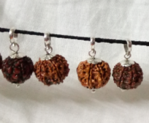 RUDRAKSH 7MUKHI