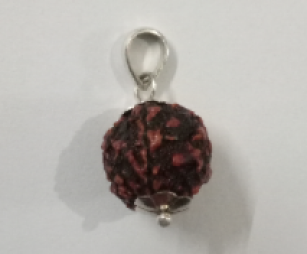 Rudraksh 5 Mukhi