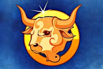 Taurus